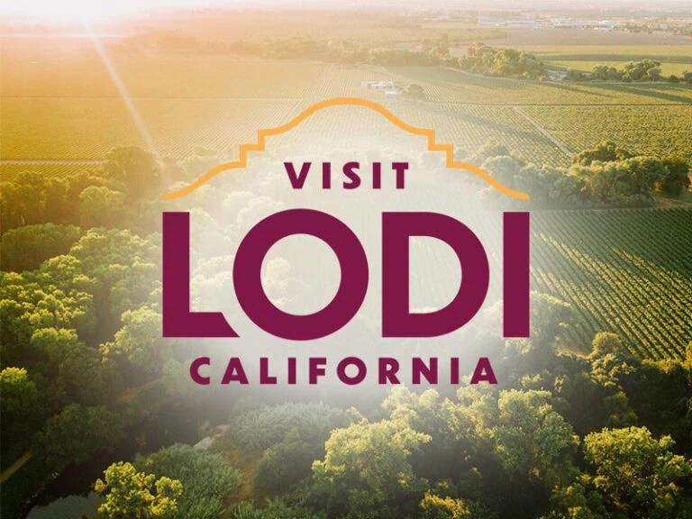 Visit Lodi California with a scenic vineyard view at sunset.